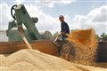Украина вошла в тройку крупнейших экспортеров зерна