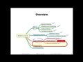 11.1 Lecture Overview (L11 Model Eval. Part 4)