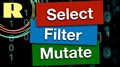 R programming for beginners. Manipulate data using the tidyverse: select, filter and mutate.