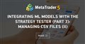 Integrating ML models with the Strategy Tester (Part 3): Managing CSV files (II)