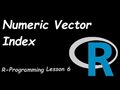 R Programming Numeric Index Vector