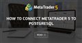 How to connect MetaTrader 5 to PostgreSQL