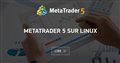 MetaTrader 5 sur Linux