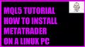 MQL5 TUTORIAL - HOW TO INSTALL METATRADER ON A LINUX PC
