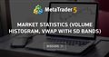 Market Statistics (Volume Histogram, VWAP with SD bands) - My second indicator is created to follow Jperl's Market Statistics thread on Traders Laboratory