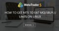 How to get MT5 to eat mql5buy:// links on Linux