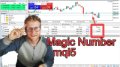 Magic Number Explained for MT5 Programming (mql5 Tutorial)