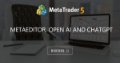 MetaEditor, Open AI and ChatGPT - Test version of MQ5 Copilot in beta 3647