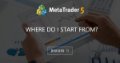 Where Do I start from? - How to Start With Metatrader 5 - More Than You Can Imagine