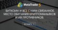 Биткоин и все с ним связанное. Место обитания криптоманьяков и их противников. - На следующий день пообещали скомпенсировать все потери.