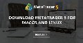 Download MetaTrader 5 for macOS and Linux