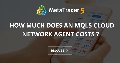 How much does an MQL5 Cloud Network Agent costs ? How much does an MQL5 Cloud Network Agent costs ?