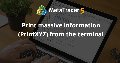 Print massive information (PrintXYZ) from the terminal