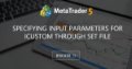 Specifying input parameters for iCustom through set file