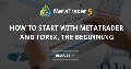 How to start with MetaTrader and forex, the beginning
