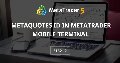 MetaQuotes ID in MetaTrader Mobile Terminal