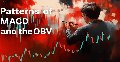 MQL5 Wizard Techniques you should know (Part 71): Using Patterns of MACD and the OBV