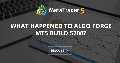 What happened to Algo Forge MT5 Build 5200? What happened to Algo Forge MT5 Build 5200?