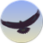 Eagle Mode