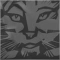 lynxntech - Профиль трейдера