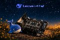 DeepSeek V4 Flash: 284B model, up to 32 tok/s on AMD Ryzen AI MAX+ 395