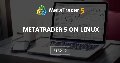 MetaTrader 5 on Linux