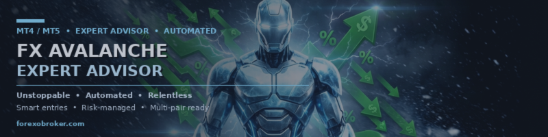 FX AVALANCHE EA - HOW TO SET UP