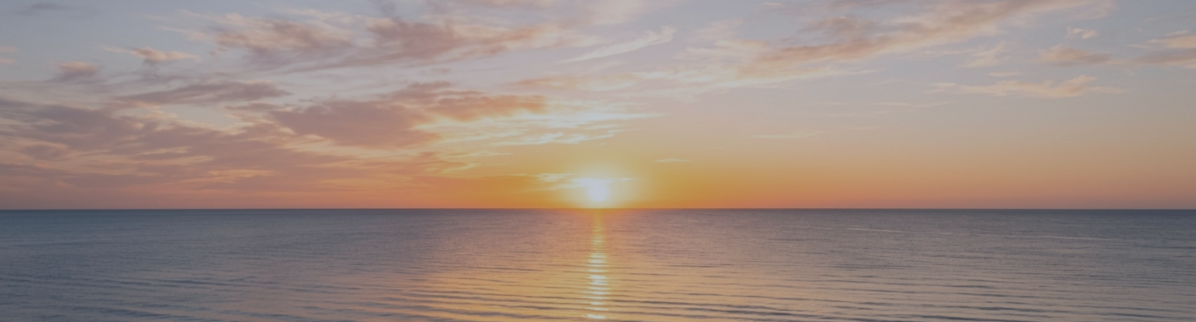 Nova is Changing | 3 EAs | 1 Free | Lowest Prices Ever