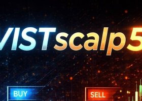 [iVISTscalp5]: TLV — Guide to Working With Timings