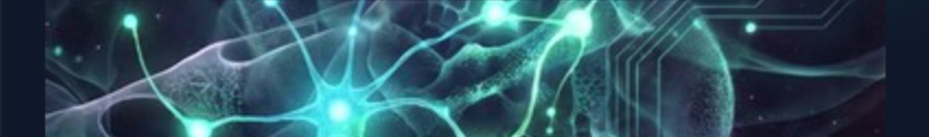 Scalper Neuro: Official Installation & First-Run Guide