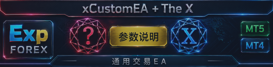 THE X 和 XCUSTOMEA 设置与外部变量说明