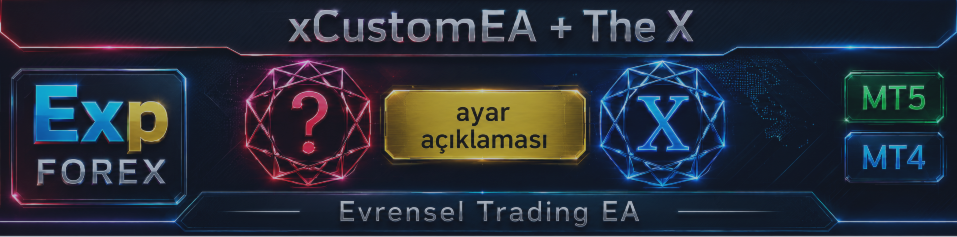 THE X VE XCUSTOMEA AYARLARI VE HARİCİ DEĞİŞKENLERİN AÇIKLAMASI