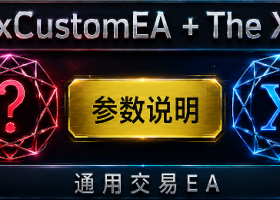 THE X 和 XCUSTOMEA 设置与外部变量说明 THE X 和 XCUSTOMEA 设置与外部变量说明