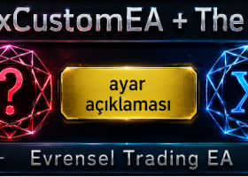 THE X VE XCUSTOMEA AYARLARI VE HARİCİ DEĞİŞKENLERİN AÇIKLAMASI