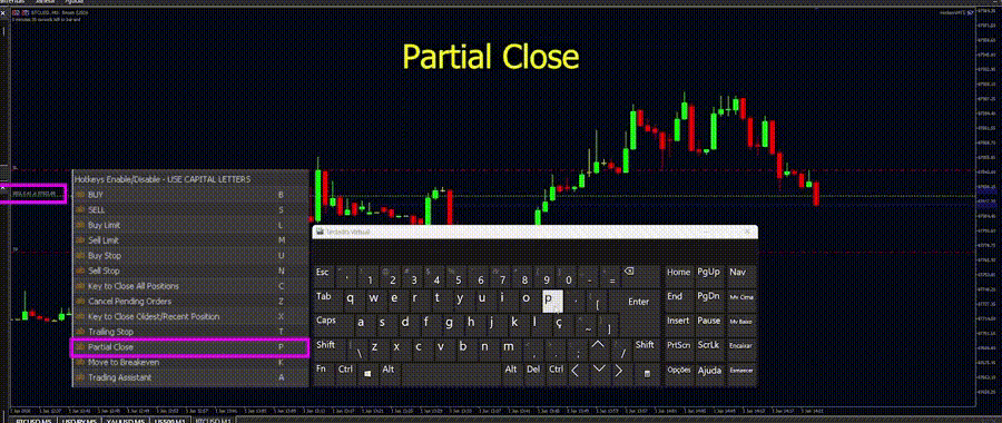 PARTIAL PARTIAL