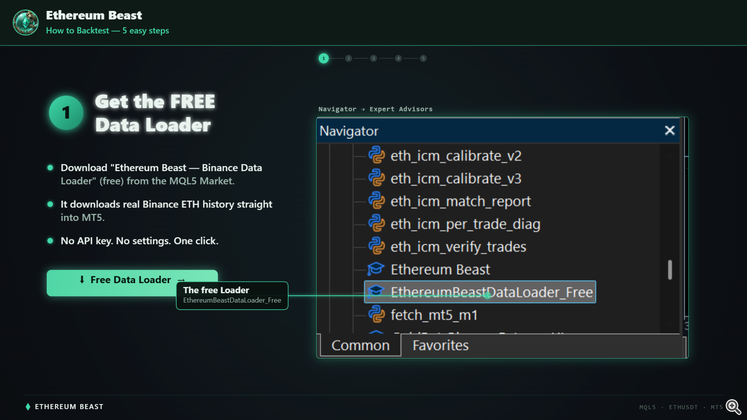 Step 1 — Data Loader