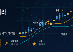 트레이딩은 진입에서 시작되지 않습니다. 리스크에서 시작됩니다