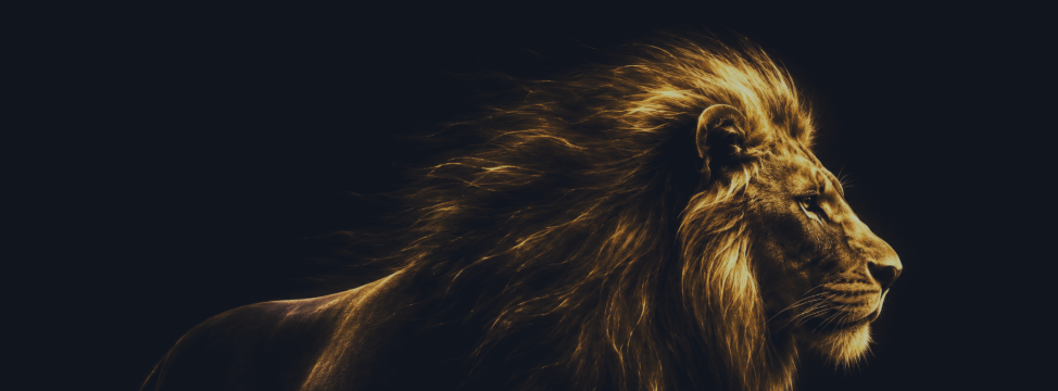 DVN Core Gold LION Is Live — The Full Picture