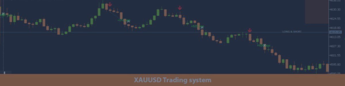 Panther Trade Scenario in the Real Market: A Complete Review of the Trading Day on XAUUSD
