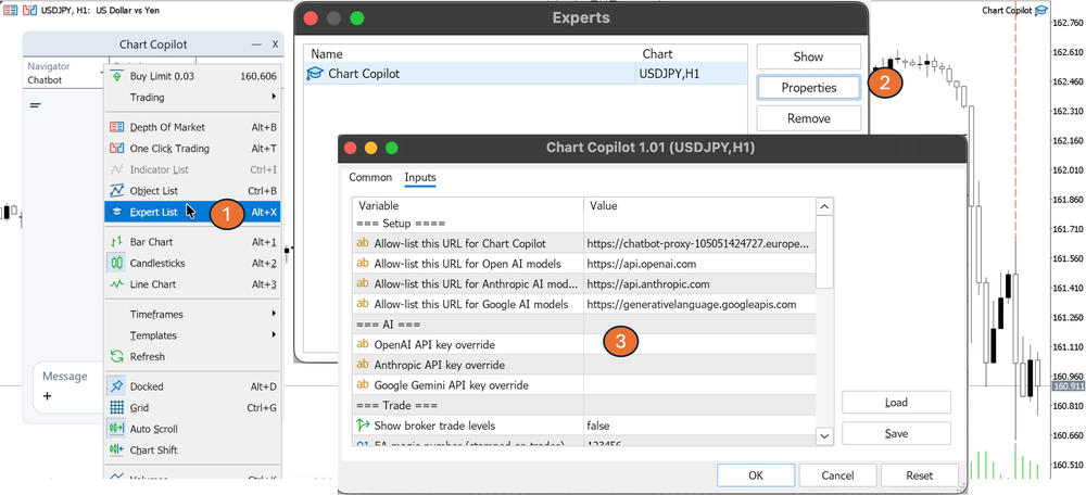 api key Where to paste your API key