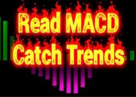 Cómo leer el histograma MACD e identificar tendencias fuertes Cómo leer el histograma MACD e identificar tendencias fuertes