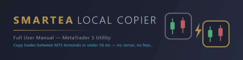 SmartEA Local Copier - Full User Manual