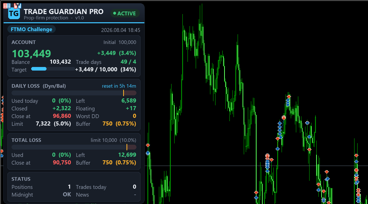 Trade Guardian Pro dashboard Trade Guardian Pro dashboard