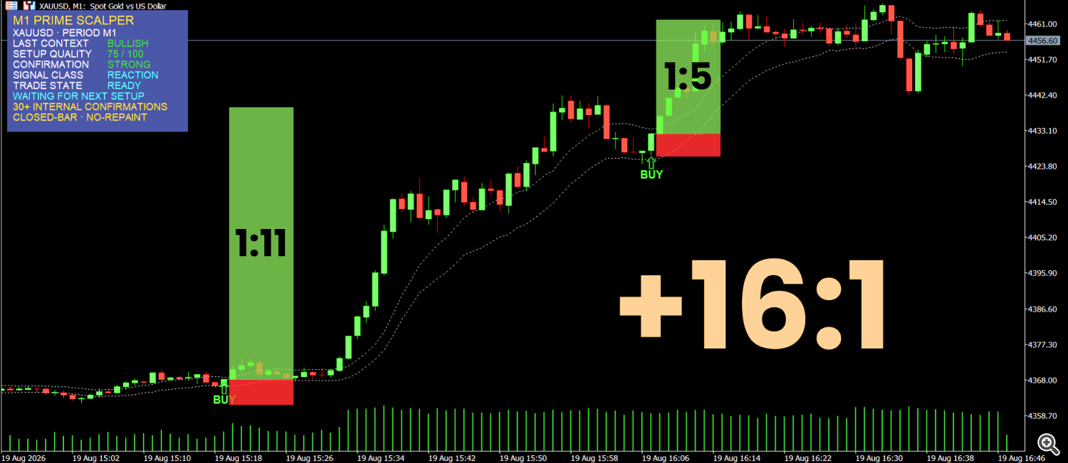1. The Afternoon Launchpad: Structural Reaction Setup (75/100 Quality - STRONG) 1. The Afternoon Launchpad: Structural Reaction Setup (75/100 Quality - STRONG)