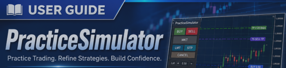 Practice Simulator : Einrichtung & Benutzerhandbuch