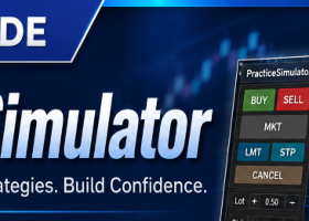 Practice Simulator : 설치 및 사용자 가이드 Practice Simulator : 설치 및 사용자 가이드