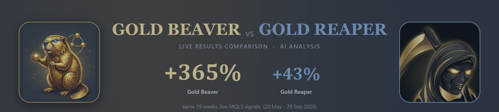 Gold Beaver vs Gold Reaper: live results comparison - Independent AI analysis