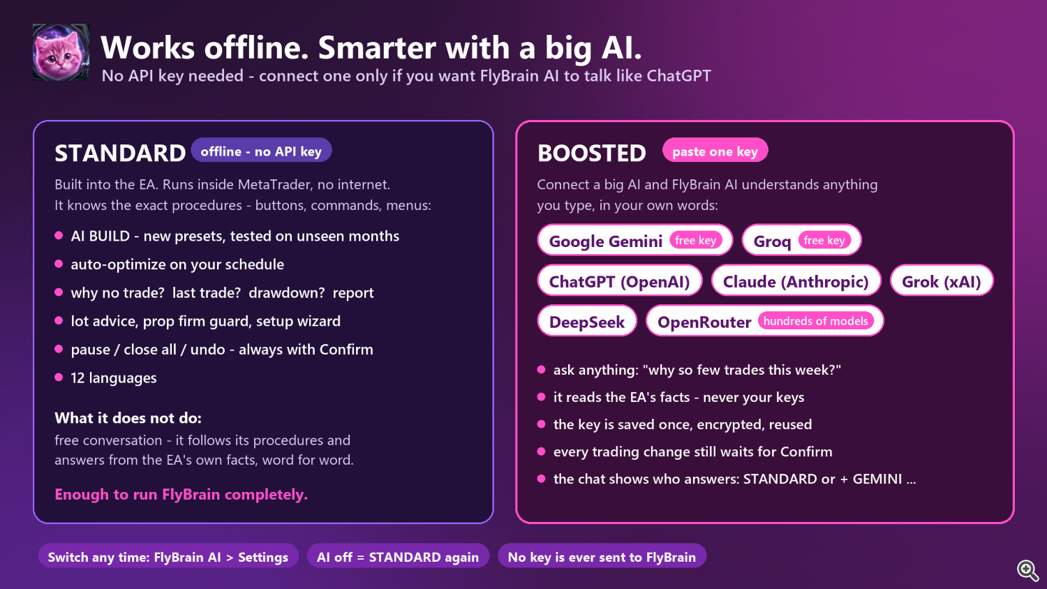 Offline brain or the AI you already use Offline brain or the AI you already use
