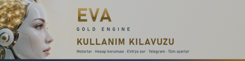 EVA Gold Engine: eksiksiz kullanım kılavuzu (MT5)