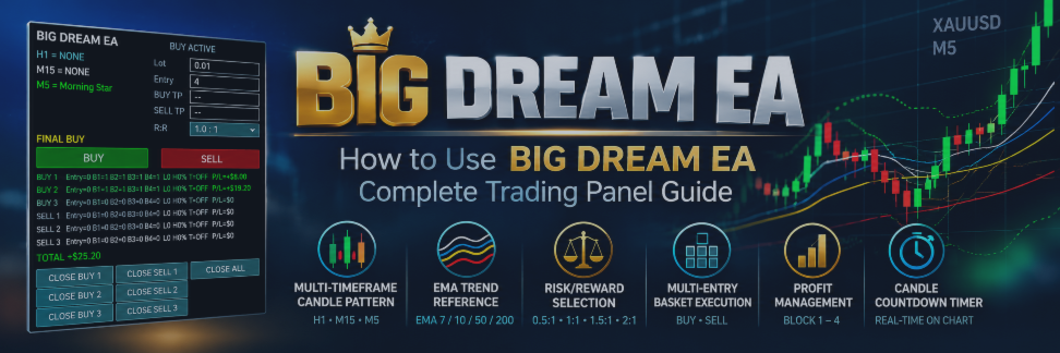 How to Use BIG DREAM EA — Complete Trading Panel Guide